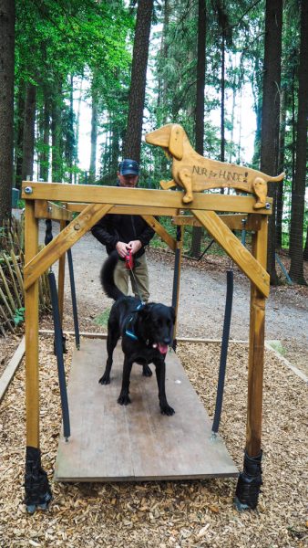 Bärenwald Arbesbach Waldviertel Mit Hund Ausflugsziel Web  20