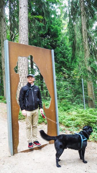 Bärenwald Arbesbach Waldviertel Mit Hund Ausflugsziel Web  22