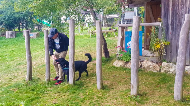 Bärenwald Arbesbach Waldviertel Mit Hund Ausflugsziel Web  50