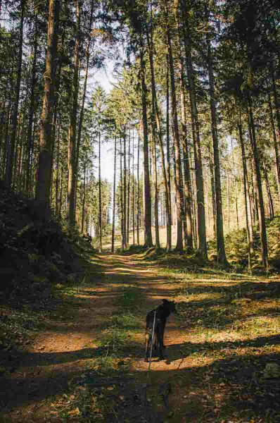 wandern ottensteiner stausee