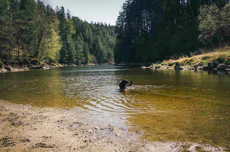 baden wandern ottensteiner stausee