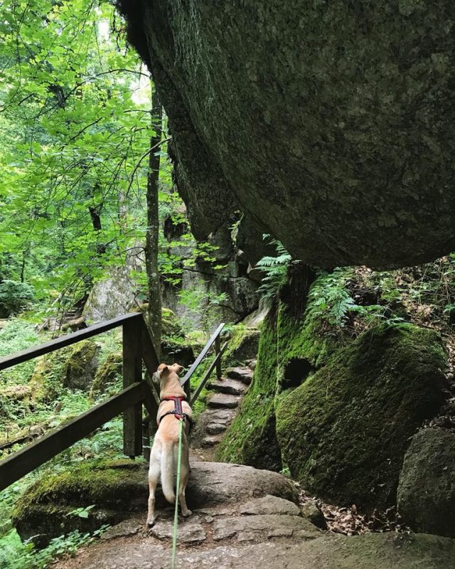 wildromantischer klammweg