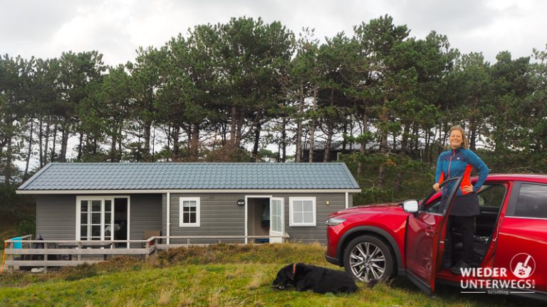 Texel Mit Hund Unser Inselurlaub An Der Nordsee