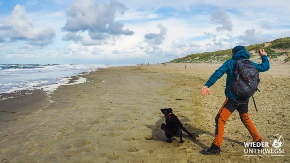 texel paal 12 mit hund