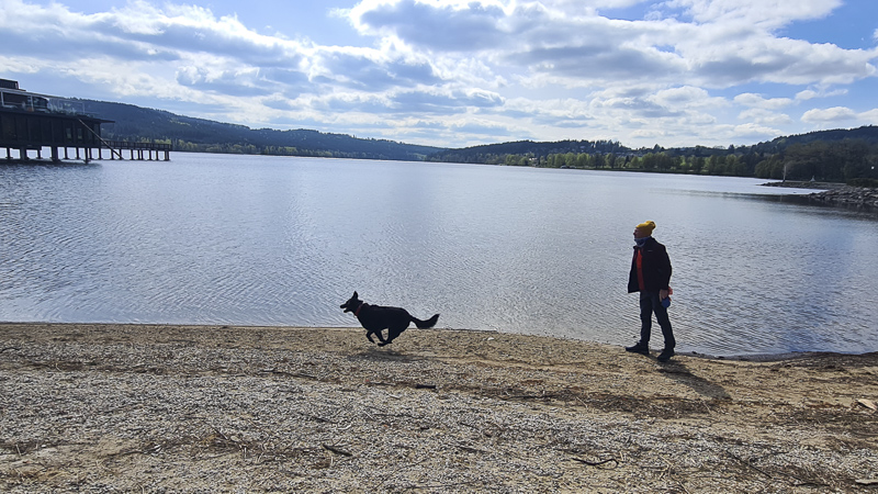 höchstgelegene burg lipno südböhmen vitkuv hradek