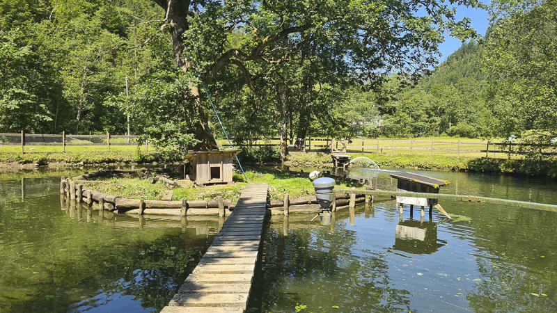 fischteiche Mendlingtal Erlebniswelt