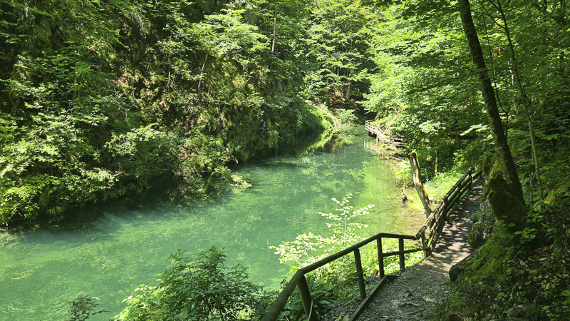 wunderschönes  mendlingtal mit mendlingtalfluss in der erlebniswelg