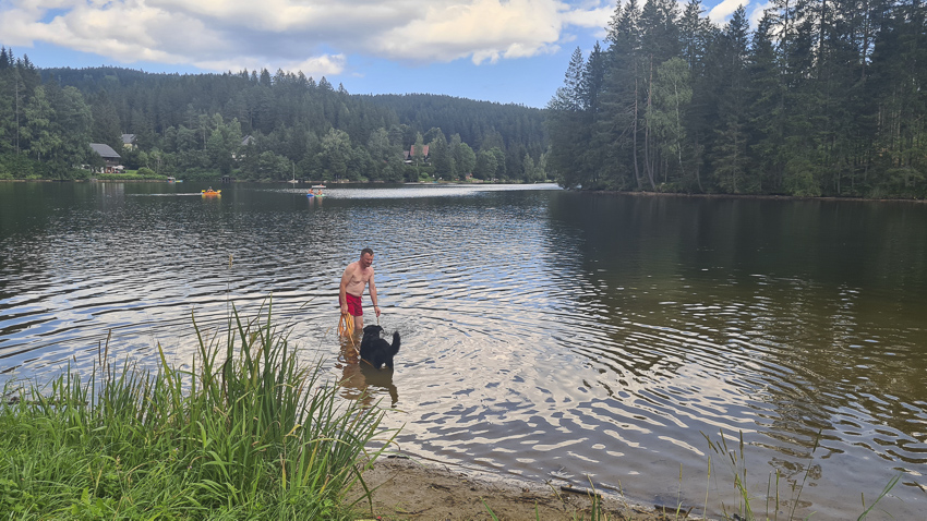 packer stausee mit hund baden