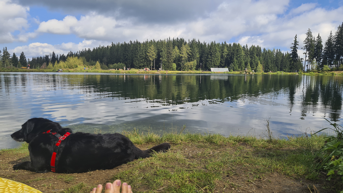 hebalmsee liegefläche mit hund