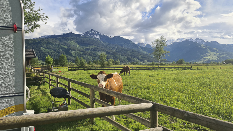 camping zell am see im nationalpark hohe tauern