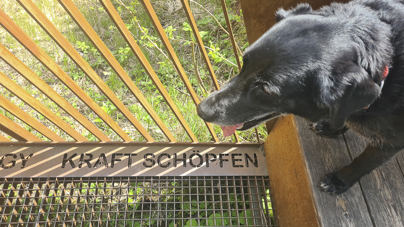 kraft schöpfen am naturkraftweg schaupfad umbalfälle hohe tauern osttirol mit hund