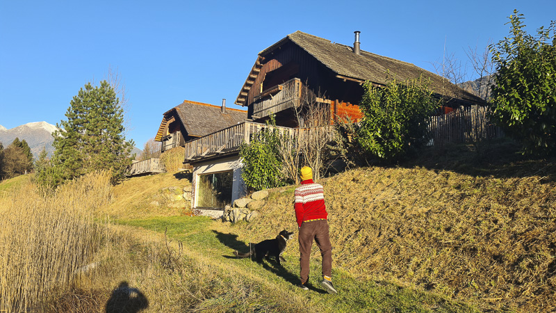 mit hund im landgut moserhof in kärnten