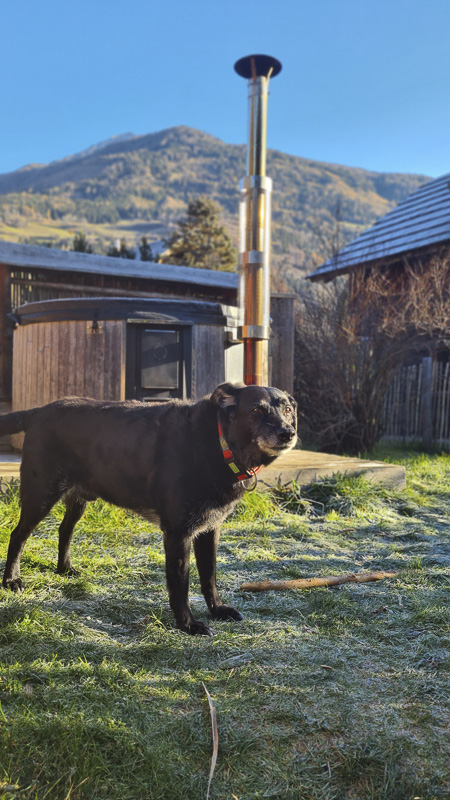 eingezäuntes gartenchalet moserhof mit hund kärnten und hot tub