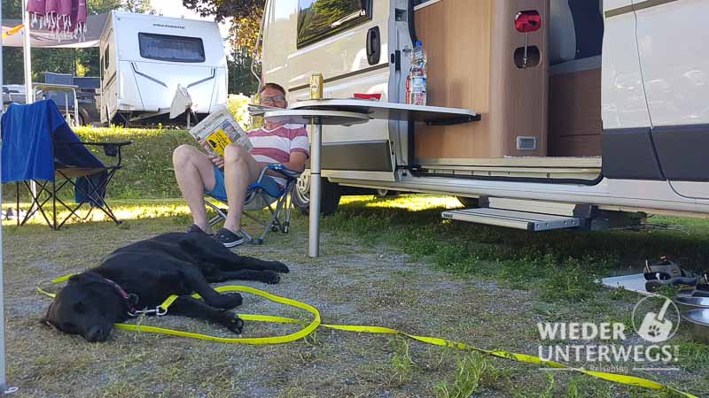 So geht Camping mit Hund wirklich: man vorher wissen sollte.