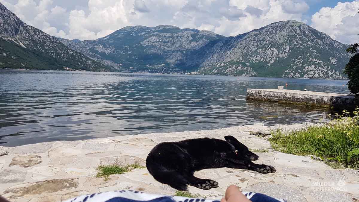 Montenegro Tipps Kotor Lovcen WEB (210 Von 448)